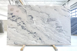 Luxry Light Grey Marble Camouflage Marble for Wall Panel/ Floor Tile/ Countertop/ Vanity Top/Fireplace/Composite Panel/Tread