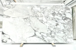 Luxury Italian White Marble Arabescato Vagli Marble for Wall Panel/ Floor Tile/ Countertop/ Vanity Top/Fireplace/Composite Panel/Tread