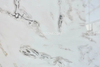 Luxury Italian White Marble Dove White Marble for Wall Panel/ Floor Tile/ Countertop/ Vanity Top/Fireplace/Composite Panel/Tread