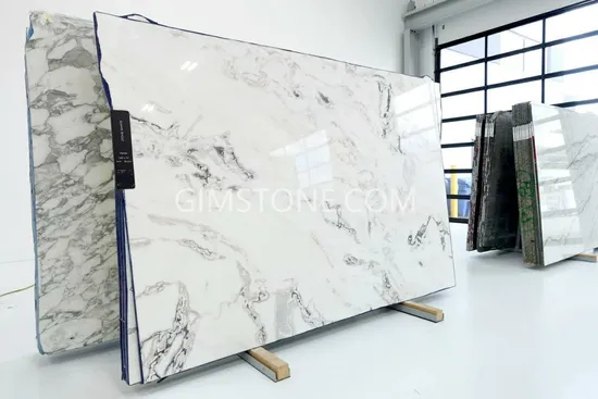 Luxury Italian White Marble Dove White Marble for Wall Panel/ Floor Tile/ Countertop/ Vanity Top/Fireplace/Composite Panel/Tread