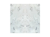Luxury Italian White Marble Dove White Marble for Wall Panel/ Floor Tile/ Countertop/ Vanity Top/Fireplace/Composite Panel/Tread
