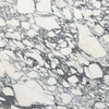 White Italian Luxury Arabescato Corchia Marble for Wall Panel, Floor Tile/ Countertop/ Vanity Top/Fireplace/Composite Panel/Tread