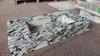 Calacatta Viola Countertop