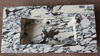 Calacatta Viola Countertop
